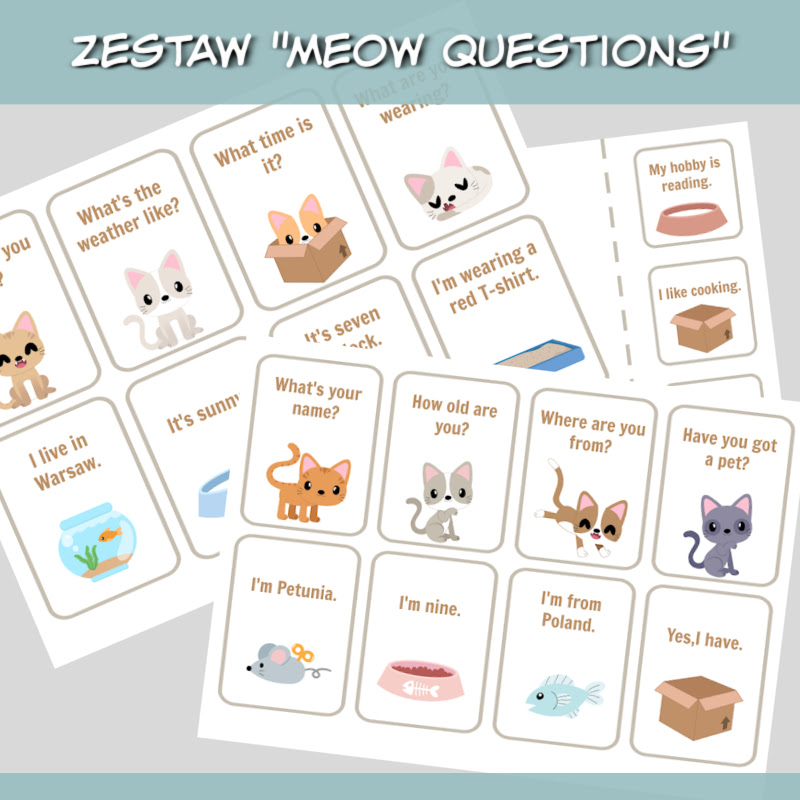 meow questions baner1