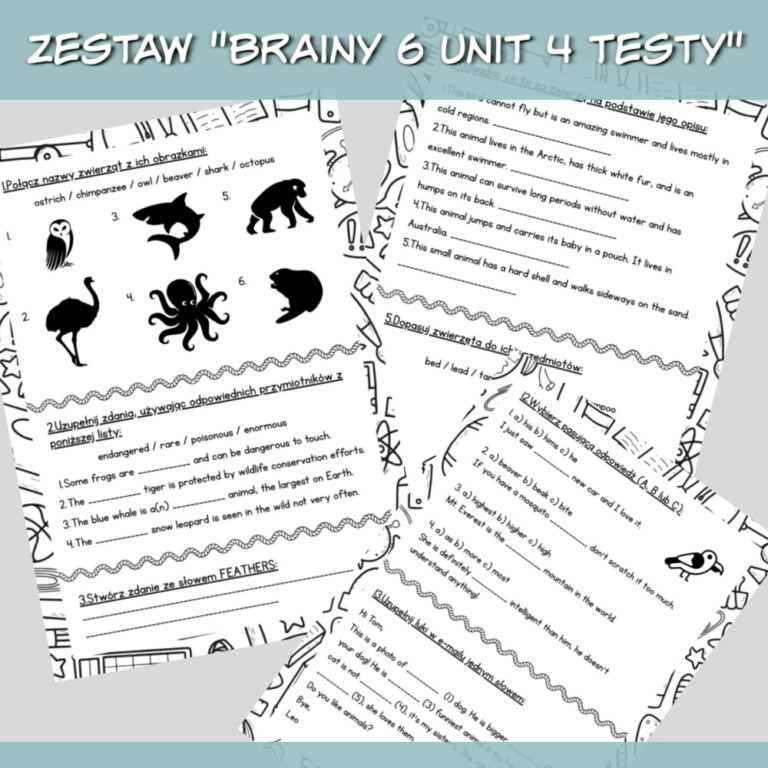 Zestaw Brainy 6 Unit 4 Testy do druku - Lamipoli